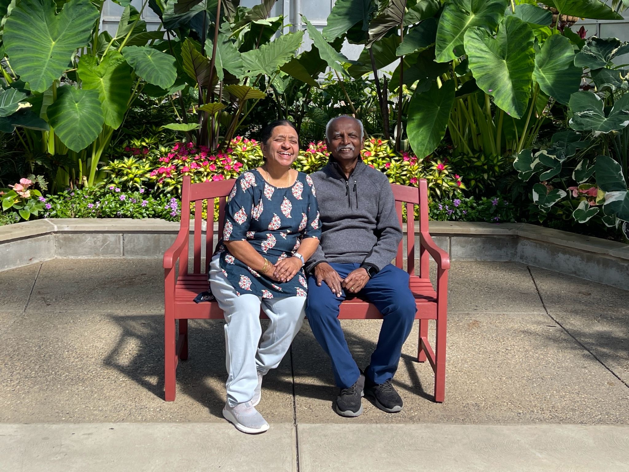 View of the Bell Isle Conservatory\