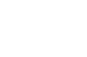 SABE — Society for the Advancement of Behavioral Economics